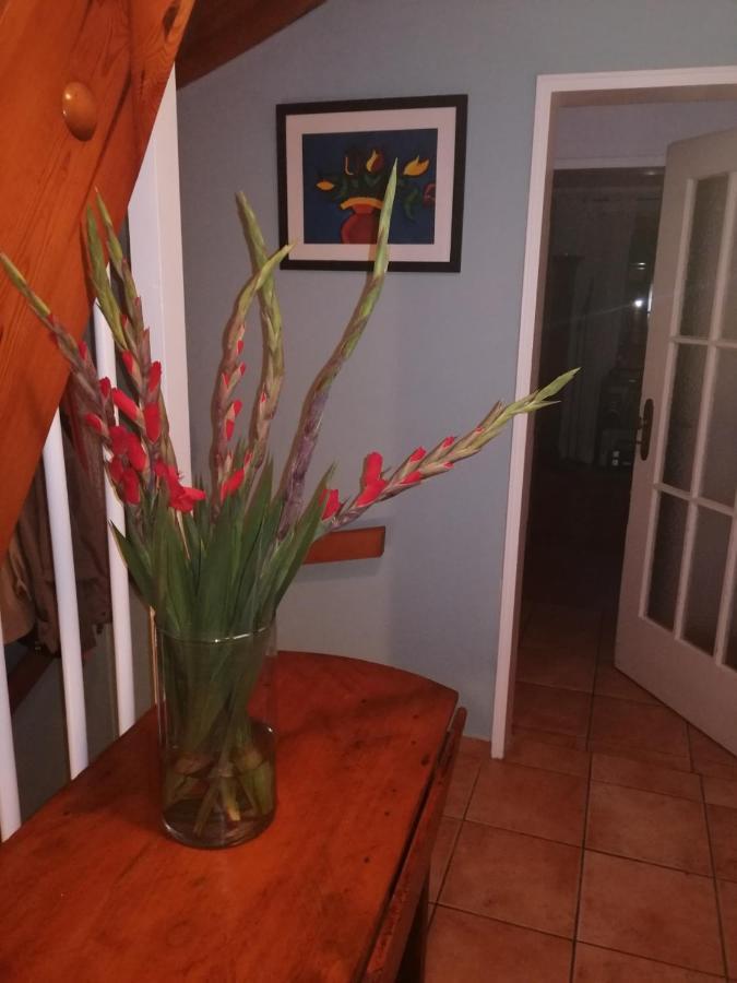 Haus Meersburg Garten 外观 照片