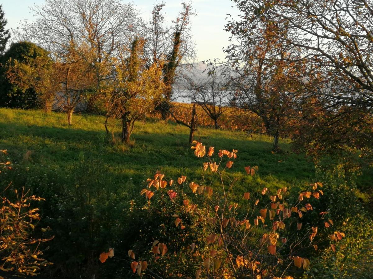 Haus Meersburg Garten 外观 照片