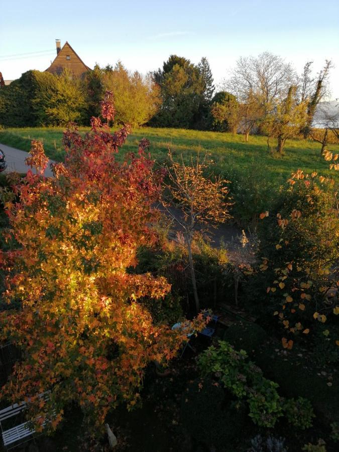 Haus Meersburg Garten 外观 照片