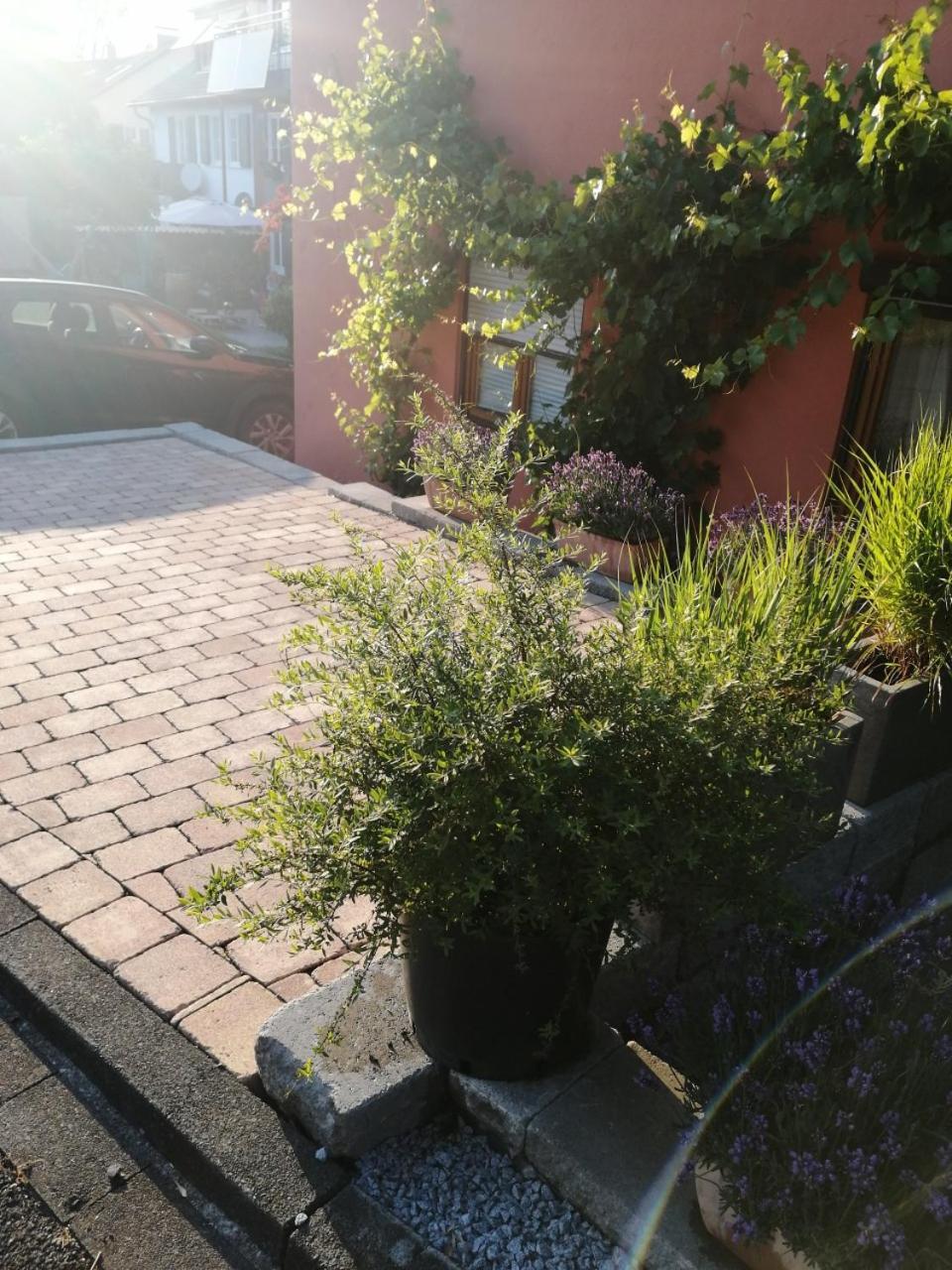 Haus Meersburg Garten 外观 照片