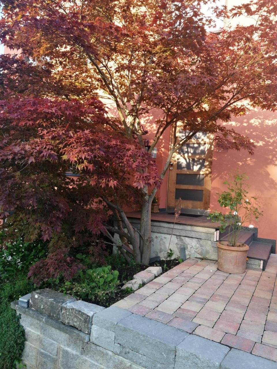 Haus Meersburg Garten 外观 照片