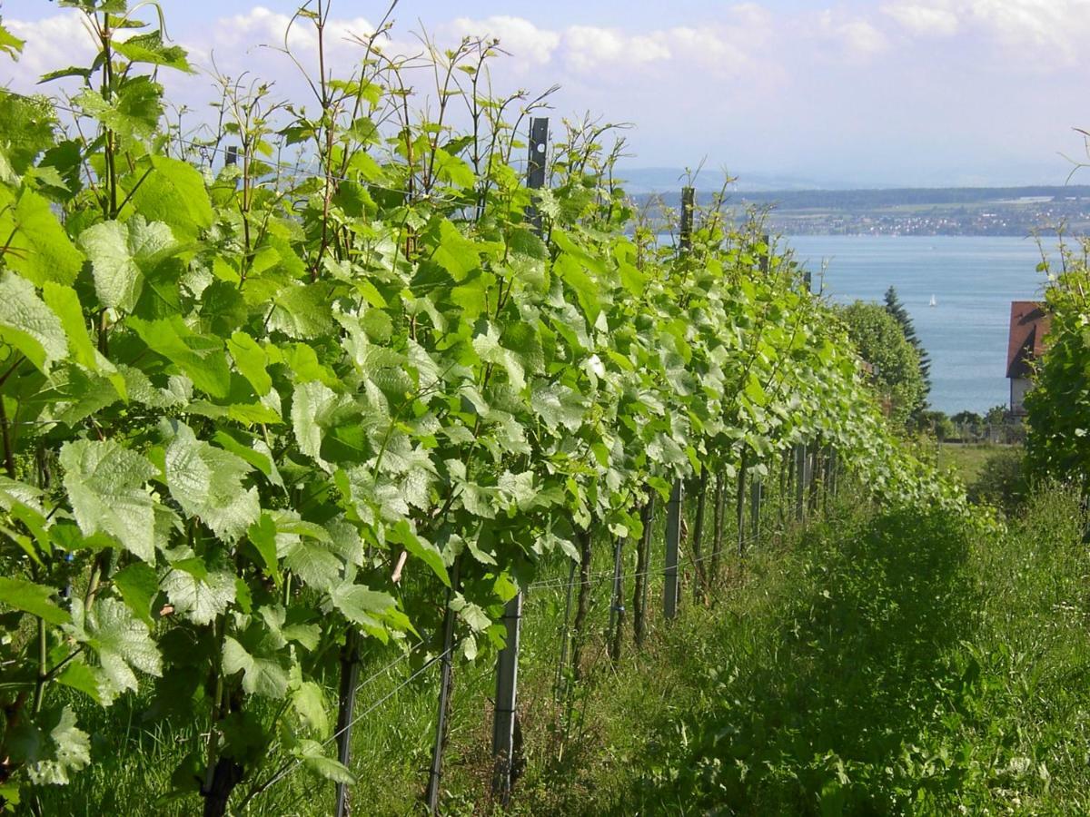 Haus Meersburg Garten 外观 照片