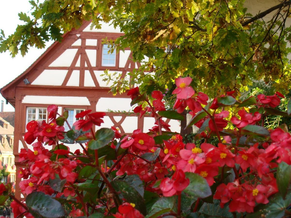 Haus Meersburg Garten 外观 照片